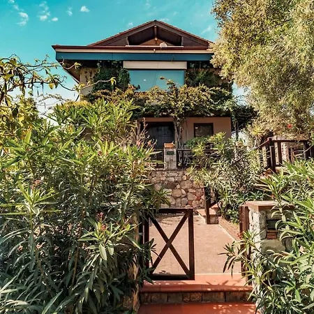 Casa Punto فيلة